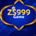ZS999 Game