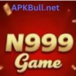 N999 Game
